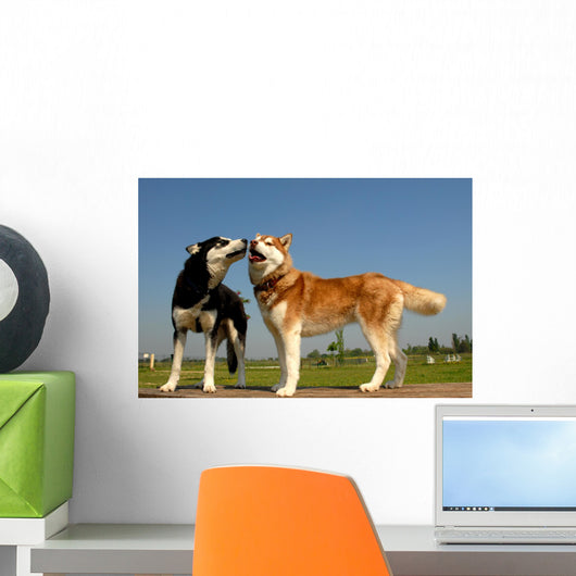 Huskys Amoureux Wall Decal