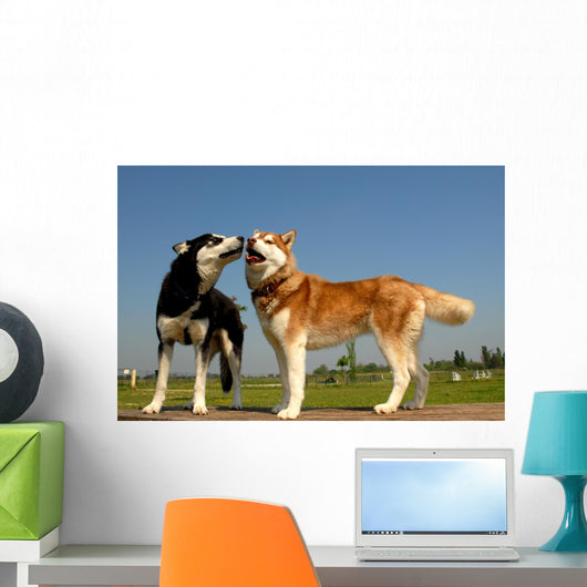 Huskys Amoureux Wall Decal