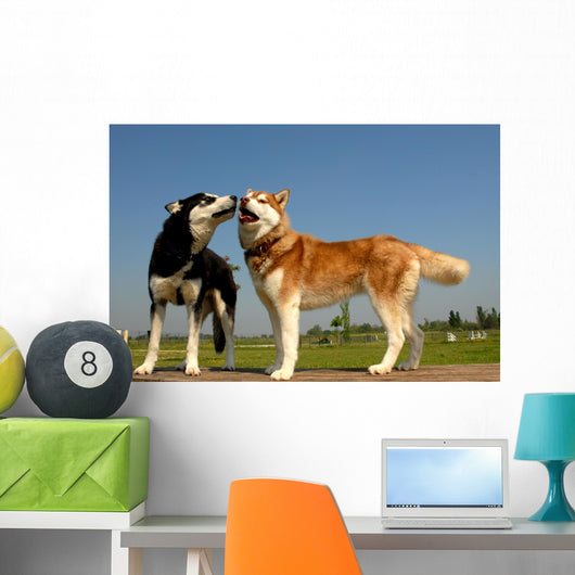 Huskys Amoureux Wall Decal