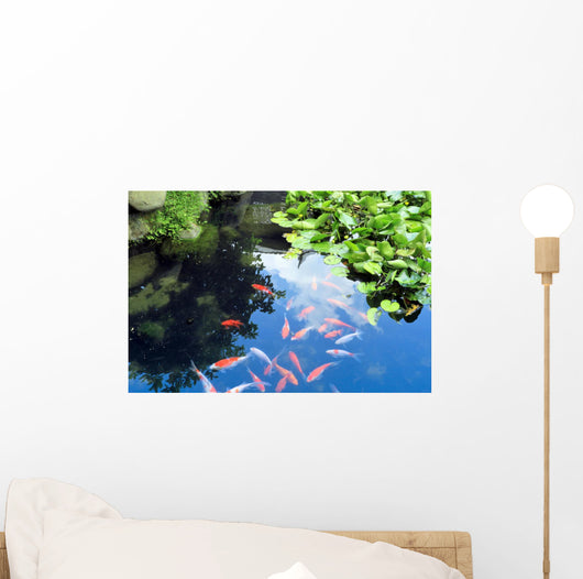 Beautiful Koi or Carp Wall Decal