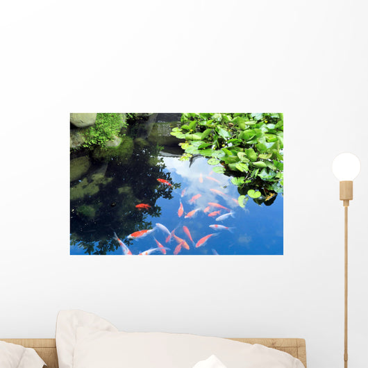 Beautiful Koi or Carp Wall Decal