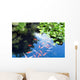 Beautiful Koi or Carp Wall Decal