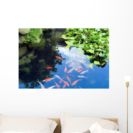 Beautiful Koi or Carp Wall Decal