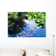 Beautiful Koi or Carp Wall Decal