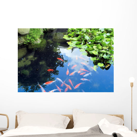 Beautiful Koi or Carp Wall Decal