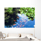 Beautiful Koi or Carp Wall Decal