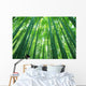 Bamboo Forest Wall Decal Design 2
