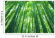 Bamboo Forest Wall Decal Design 2