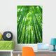 Bamboo Forest Wall Decal Design 1