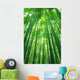 Bamboo Forest Wall Decal Design 1