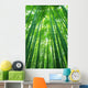 Bamboo Forest Wall Decal Design 1