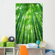 Bamboo Forest Wall Decal Design 1