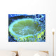 Lemon Juice Wall Decal