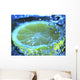 Lemon Juice Wall Decal