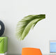 Leaves Palm Tree Wall Decal