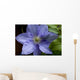 Clematite Wall Decal