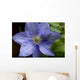 Clematite Wall Decal
