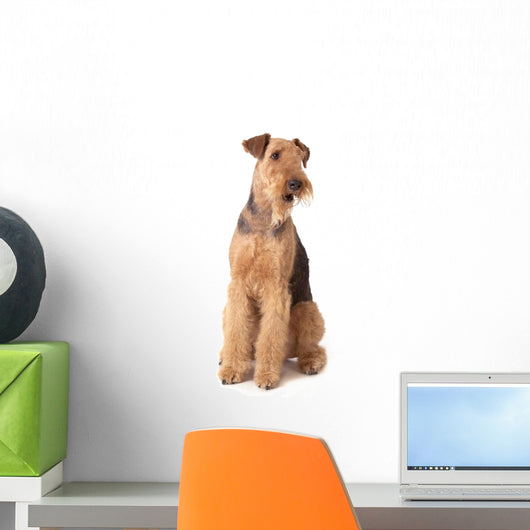 Airedale Terrier Dog Wall Decal