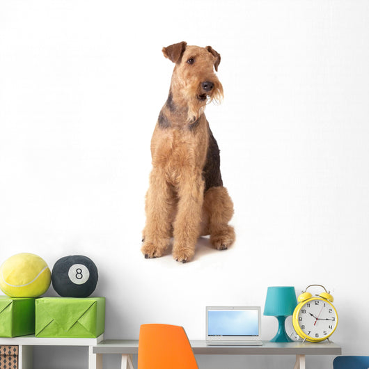 Airedale Terrier Dog Wall Decal