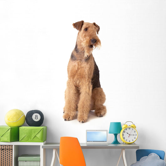 Airedale Terrier Dog Wall Decal