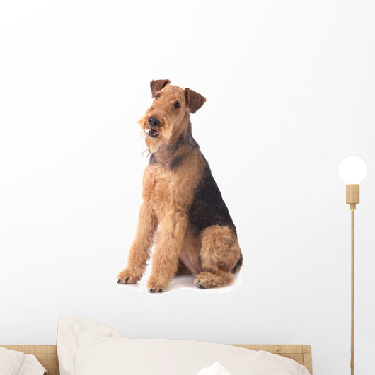 Airedale Terrier Wall Decal