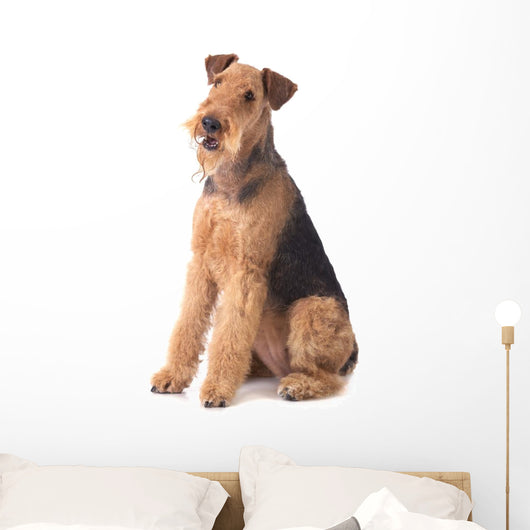 Airedale Terrier Wall Decal