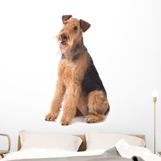 Airedale Terrier Wall Decal