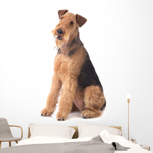 Airedale Terrier Wall Decal