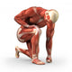 Man with Visible Muscles Wall Decal