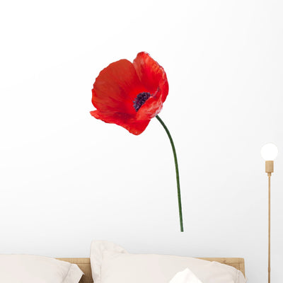 Up Red Poppy Flower Wall Decal shown on a wall