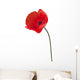 Up Red Poppy Flower Wall Decal