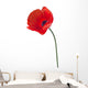 Up Red Poppy Flower Wall Decal