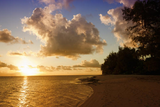 Sunset Beach Tropical Island Wall Decal