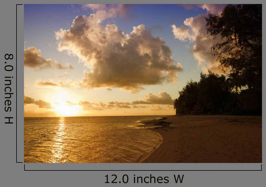 Sunset Beach Tropical Island Wall Decal