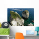 Corse Bonifacio Le Grain Wall Decal
