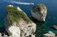 Corse Bonifacio Le Grain Wall Decal