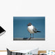 Seagull Fence Wall Decal