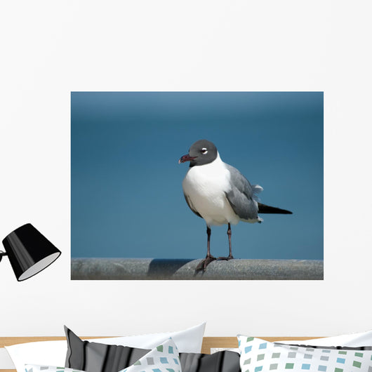 Seagull Fence Wall Decal