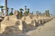 Sphinx Alley Luxor Wall Decal
