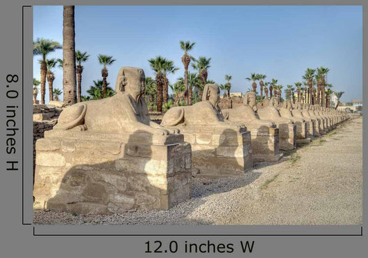 Sphinx Alley Luxor Wall Decal