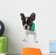 Curious French Bulldog Wall Decal