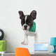 Curious French Bulldog Wall Decal