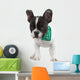 Curious French Bulldog Wall Decal