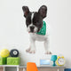Curious French Bulldog Wall Decal