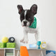 Curious French Bulldog Wall Decal