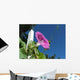Climbing Morning Glory Wall Decal