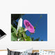 Climbing Morning Glory Wall Decal