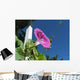 Climbing Morning Glory Wall Decal
