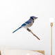Blue Jay Wall Decal