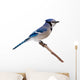 Blue Jay Wall Decal
